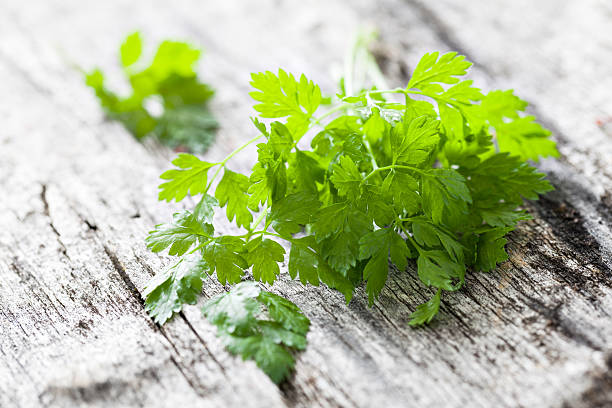 chervil chervil on wooden background chervil stock pictures, royalty-free photos & images