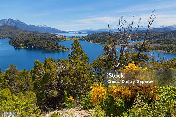 Photo libre de droit de Printemps Dans Les Montagnes De Patagonie banque d'images et plus d'images libres de droit de Amérique du Sud - Amérique du Sud, Arbre, Bariloche