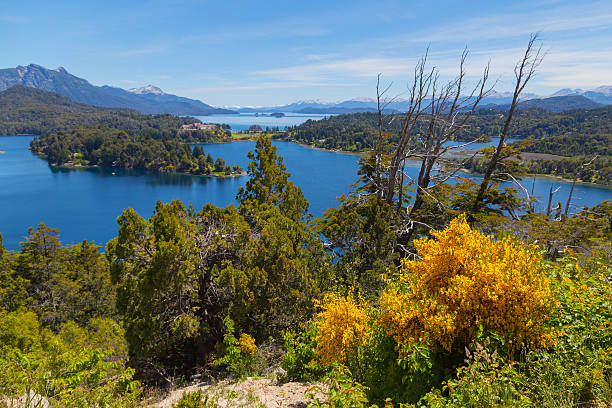 istock Spring in the mountains of Patagonia 177750378