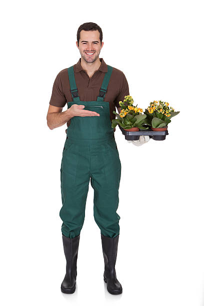 istock Happy young gardener holding flowers 177750443