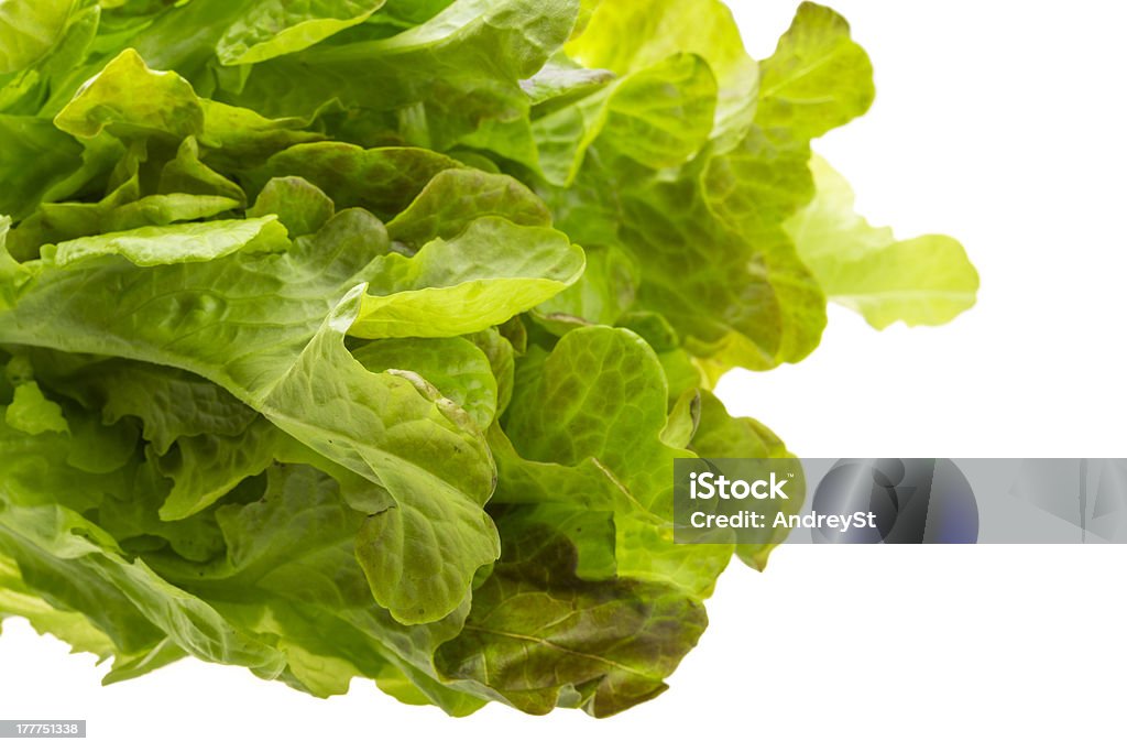 Foglie di insalata - Foto stock royalty-free di Agricoltura