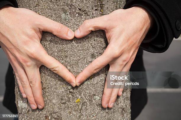 Foto de Mãos Em Forma De Coração No Tronco De Uma Árvore e mais fotos de stock de Abraçar - Abraçar, Ambiente vegetal, Amor