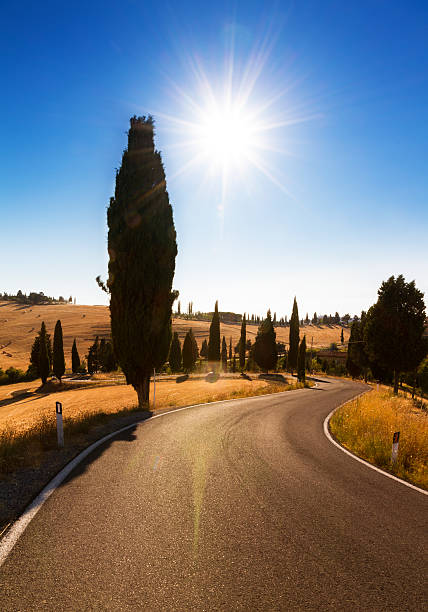 istock Tuscan country road 177753346