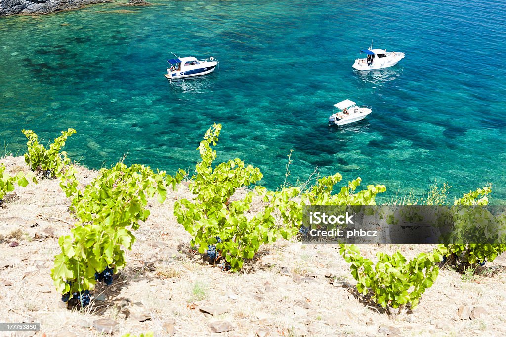 Cap de Peyrefite - Lizenzfrei Cerbère Stock-Foto