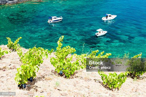 Cap De Peyrefite Stockfoto und mehr Bilder von Cerbère - Cerbère, Mittelmeer, Rankenpflanze