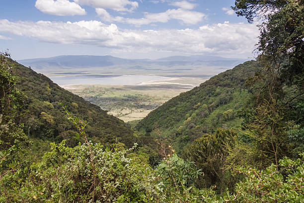 istock View on huge Ngorongoro caldera with large lake from cleft 177753891