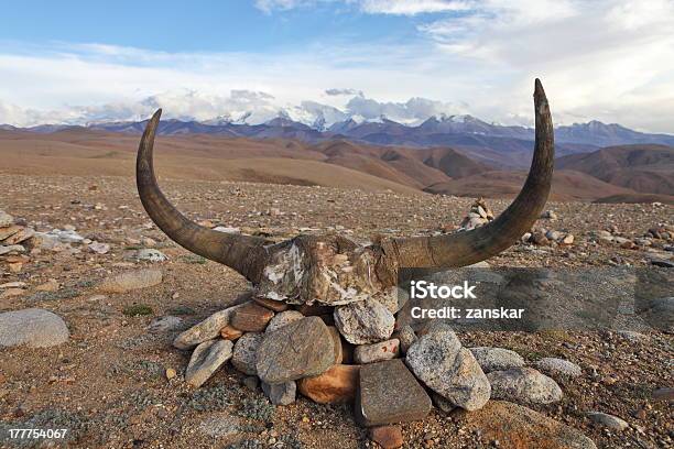 Yak Capo Con Monaci Mantra In Tibet - Fotografie stock e altre immagini di Animale - Animale, Arredamento, Arte