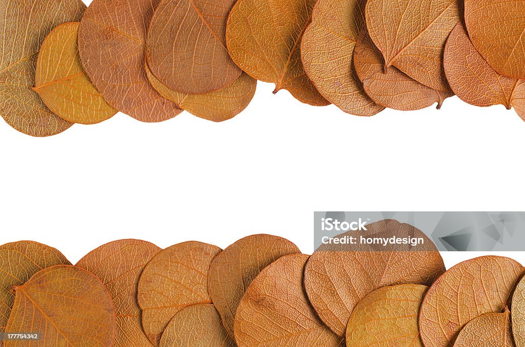 秋の落ち葉 - お祝いのロイヤリティフリーストックフォト