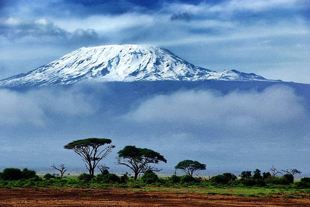 Kilimanjaro Kenya. National park Amboseli. landscape fog africa beauty in nature stock pictures, royalty-free photos & images