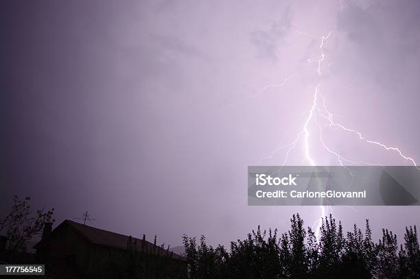 Photo libre de droit de Lightning banque d'images et plus d'images libres de droit de Arbre - Arbre, Arrière-plan net, Bioluminescence