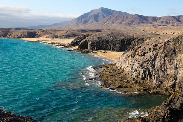 лансароте - lanzarote bay canary islands beach стоковые фото и изображения