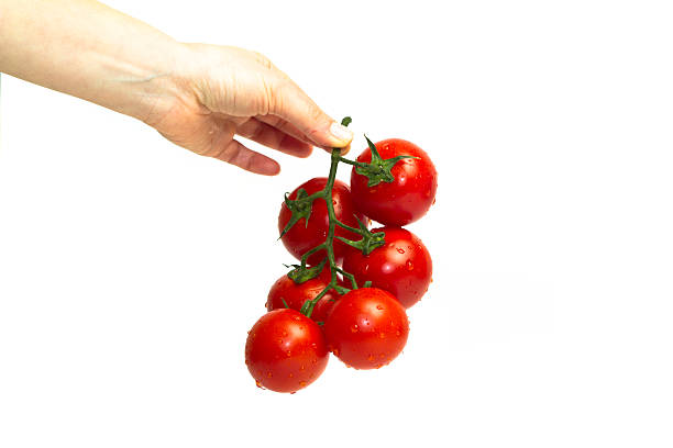 seis tomates - fressness fotografías e imágenes de stock