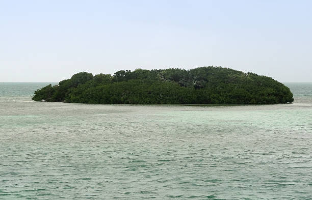 mangrove island at the Florida Keys