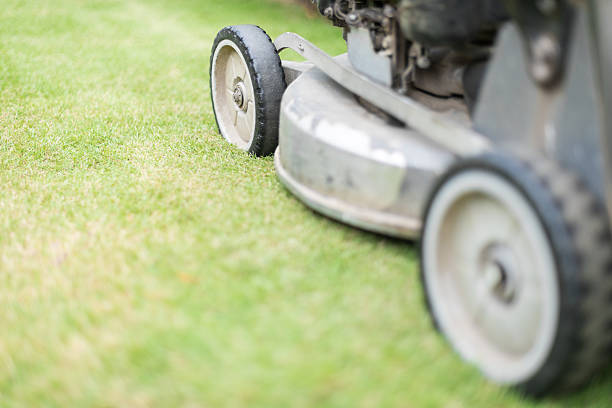 istock Cutting green grass in yard with lawnmower. 177757311