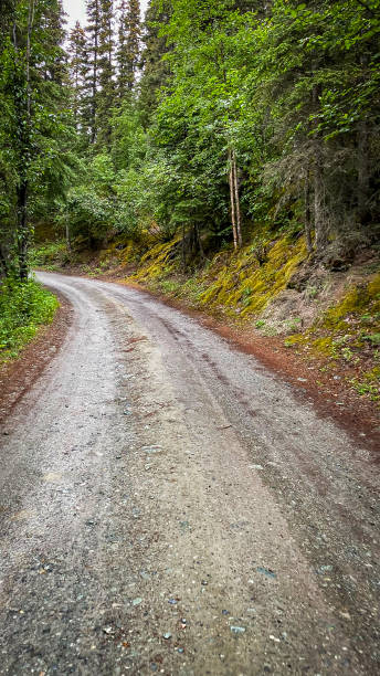 istock Back road in the interior of Alaska 1777573710