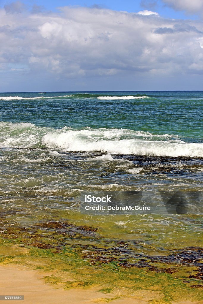 Papa'iloa Beach - Foto de stock de Agua libre de derechos