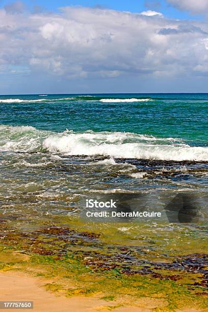 Photo libre de droit de Papailoa Beach banque d'images et plus d'images libres de droit de Beauté de la nature - Beauté de la nature, Eau, Mer