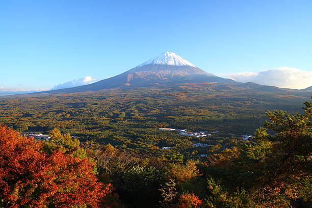 富士山の秋 - fuji mt fuji yamanashi prefecture japanese fall foliage ストックフォトと画像