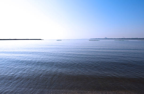 Shining sea of Tokyo bay area in the morning against blue sky.