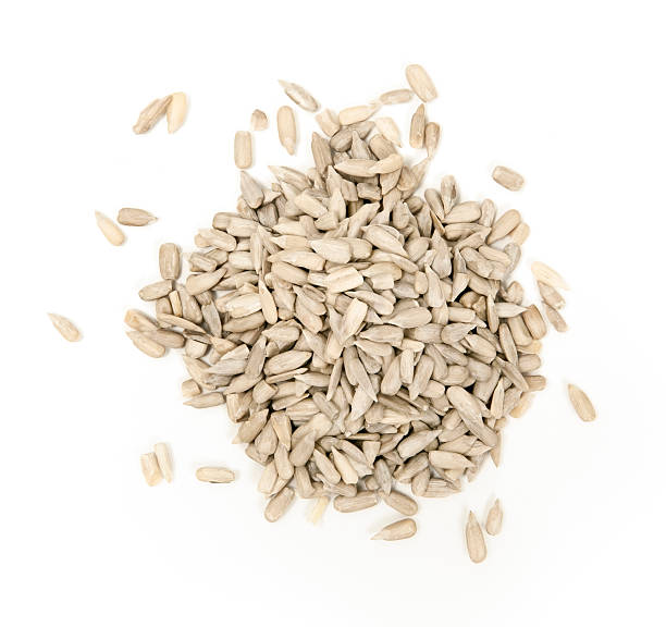 istock Pile of Sunflower Seeds 177759238