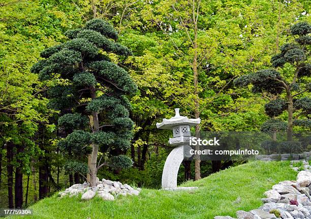 Árvores De Bonsai No Jardim Japonês - Fotografias de stock e mais imagens de Ao Ar Livre - Ao Ar Livre, Beleza natural, Cor verde