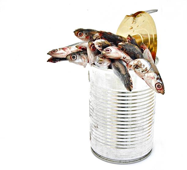 Container with anchovies