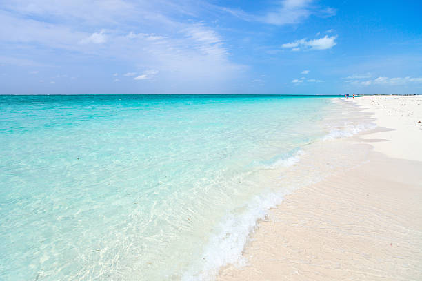 Beautiful Caribbean beach Grace bay beach at Providenciales on Turks and Caicos islands turks and caicos islands caicos islands bahamas island stock pictures, royalty-free photos & images