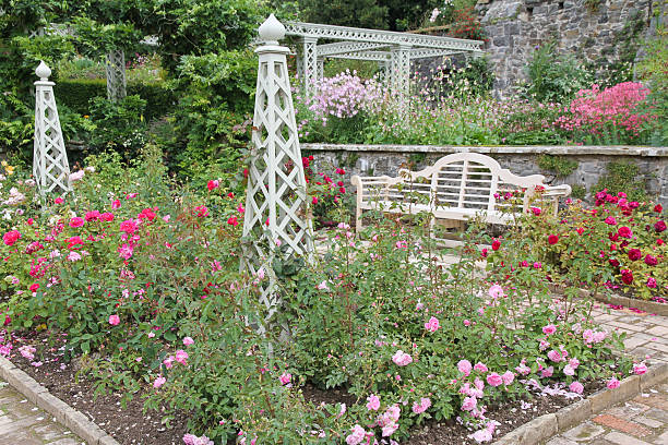 English Rose Garden Typical English Rose Garden in Summer Bloom.  english rose stock pictures, royalty-free photos & images