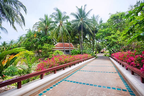 istock beautiful tropical garden 177761701