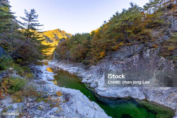 Autumn Valley Of Baekdamsa Temple In Gangwondo Stock Photo - Download Image Now - Autumn, Color Image, Horizontal