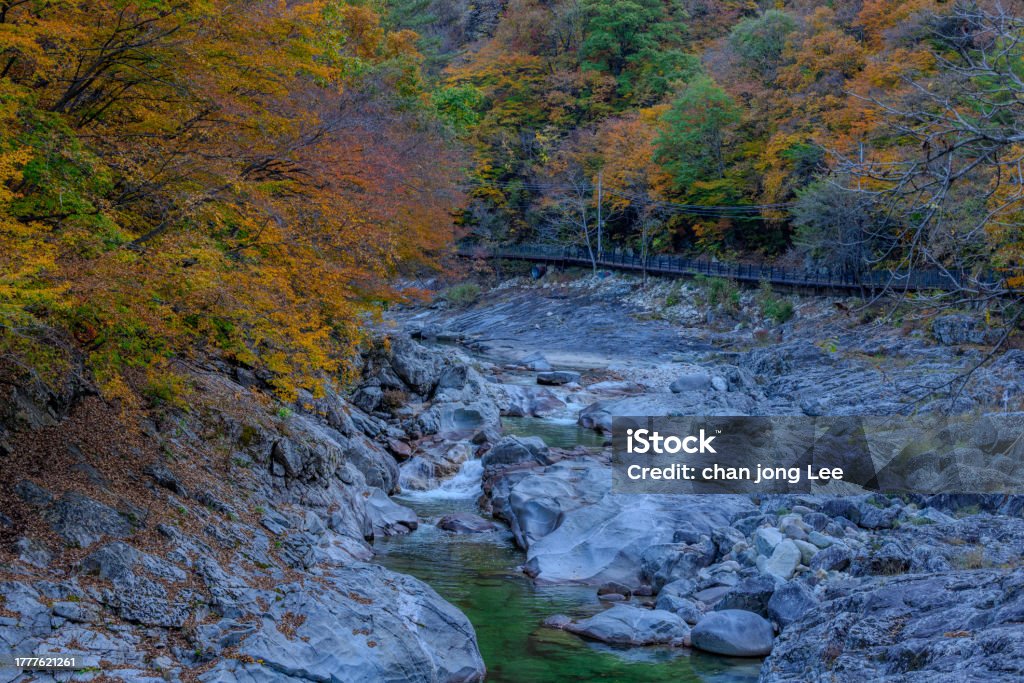 Autumn Valley of Baekdamsa Temple in Gangwon-do Autumn Stock Photo