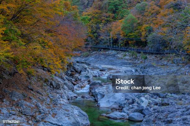 Autumn Valley Of Baekdamsa Temple In Gangwondo Stock Photo - Download Image Now - Autumn, Color Image, Horizontal