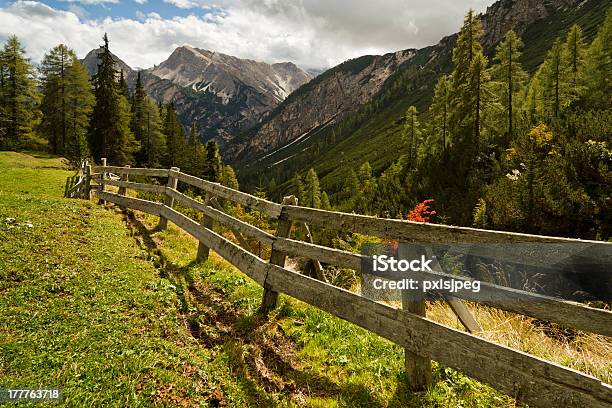 Prado Com Montanhas No Fundo - Fotografias de stock e mais imagens de Alpes Europeus - Alpes Europeus, Alto Adige, Ao Ar Livre