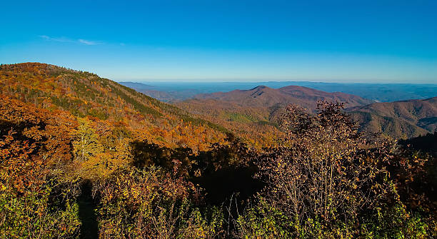 Appalachian Mountains from Mount Mitchell, the highest point in Appalachian Mountains from Mount Mitchell, the highest point in the eastern United States mt mitchell stock pictures, royalty-free photos & images