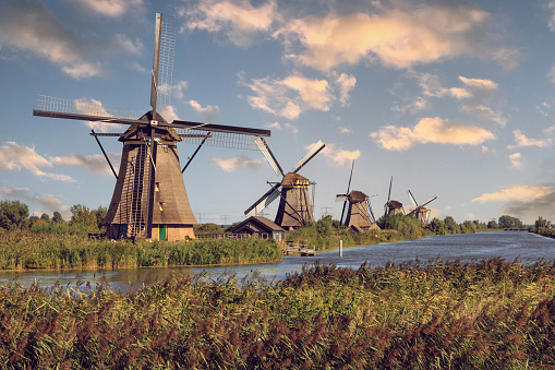 Dutch windmills on river bank, Kinderdijk, Holland