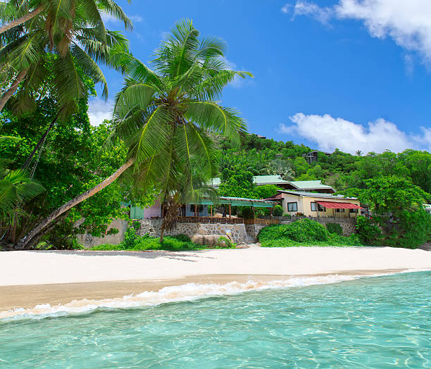 istock White coral beach sand and azure indian ocean. 177766581