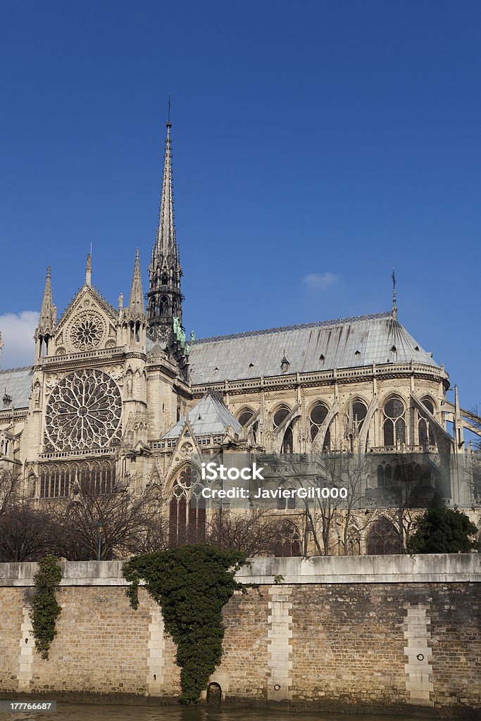 Cattedrale di Notre Dame, Parigi - Foto stock royalty-free di Ambientazione esterna