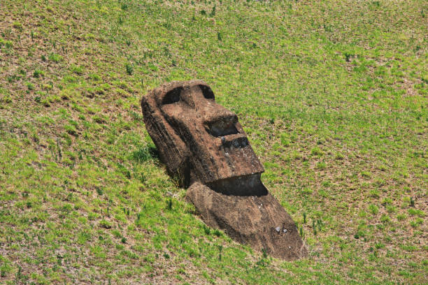rapa nui. the statue moai in rano raraku on easter island, chile - moai statue statue ancient past imagens e fotografias de stock