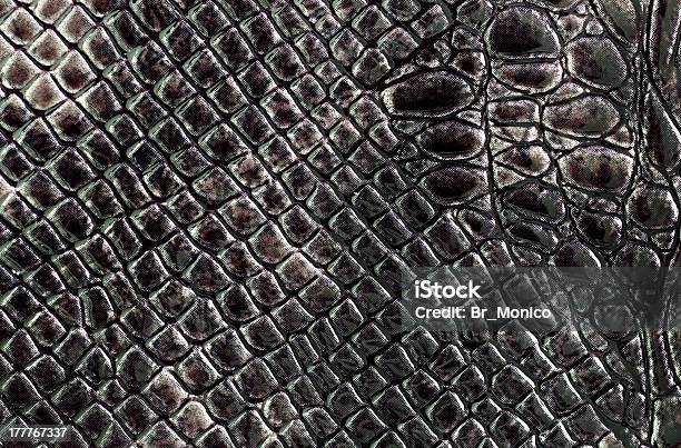 Snake Pattern Stock Photo - Download Image Now - Abstract, Animal Markings, Backgrounds