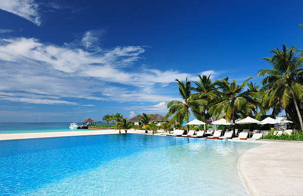 istock Luxury tropical swimming pool 177769077