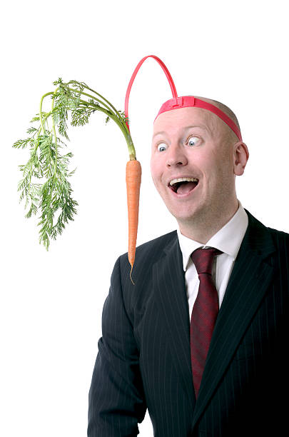 motivation de carotte - stick dangling a carrot carrot motivation photos et images de collection