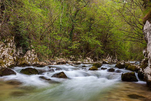 istock Waterfalls and mountain stream in the forest 177769591