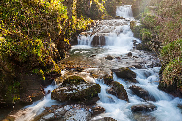 watersmeet devon, anglia - exmoor national park zdjęcia i obrazy z banku zdjęć
