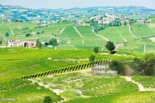 Vineyars Piedmont Italia Foto de stock y más banco de imágenes de Agricultura - Agricultura, Aire libre, Barolo - Piamonte