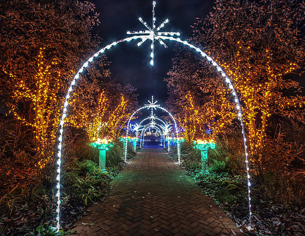 istock outdoor christmas decorations 177771724