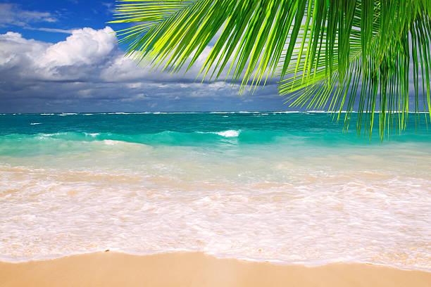 bellissima spiaggia tropicale con chiaro sull'oceano. - white water atlanta foto e immagini stock