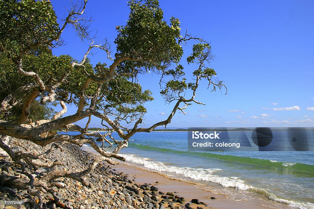 Sunshine Coast, Austrália - Foto de stock de Areia royalty-free