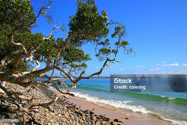 Foto de Sunshine Coast Austrália e mais fotos de stock de Areia - Areia, Austrália, Azul