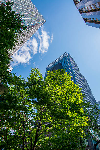 istock Blue sky, Green and Office Building 177772725