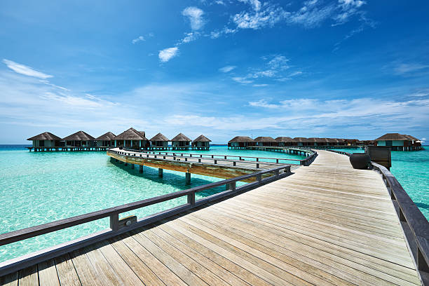 istock Beautiful beach with water bungalows 177773722